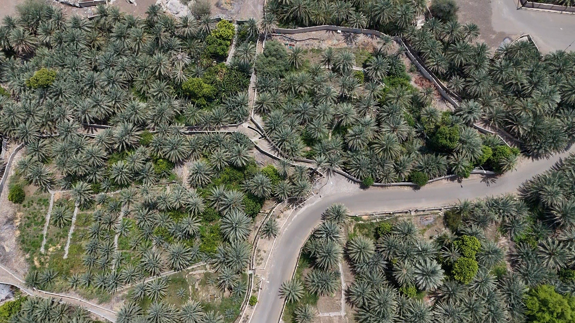 Al Hillah Fort